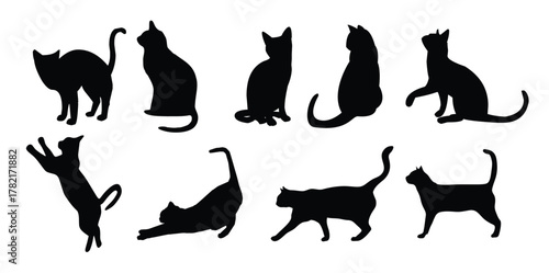 Set of cat vector illustration