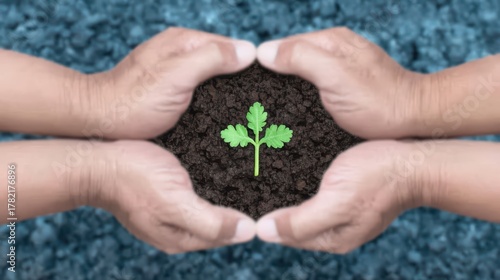 Hands Nurturing a Young Plant Symbolizing Growth and Care in a Fertile Soil Environment