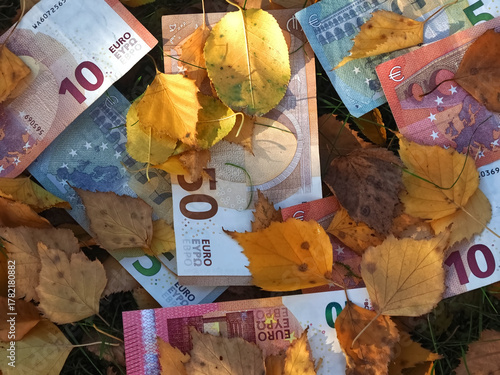 Financial situation of Europe in autumn - Euro banknotes with fallen autumn leaves