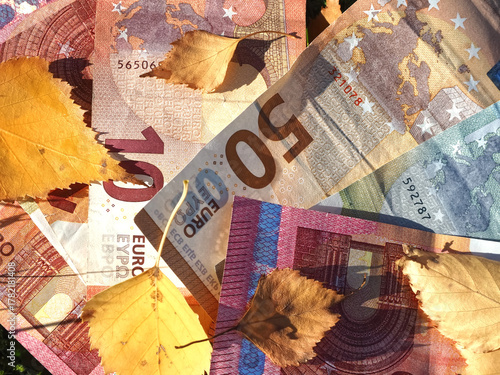 Financial situation of Europe in autumn - Euro banknotes with fallen autumn leaves