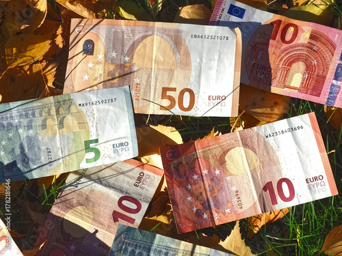 Financial situation of Europe in autumn - Euro banknotes with fallen autumn leaves