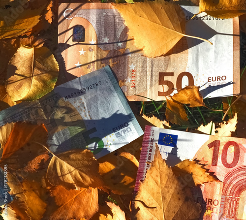 Financial situation of Europe in autumn - Euro banknotes with fallen autumn leaves