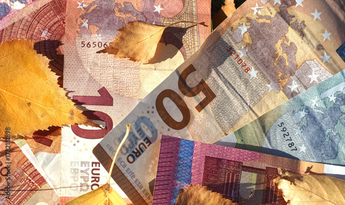 Financial situation of Europe in autumn - Euro banknotes with fallen autumn leaves