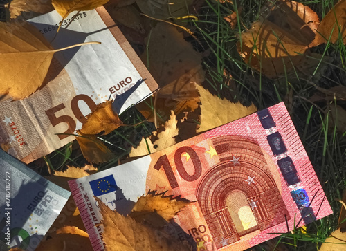 Financial situation of Europe in autumn - Euro banknotes with fallen autumn leaves