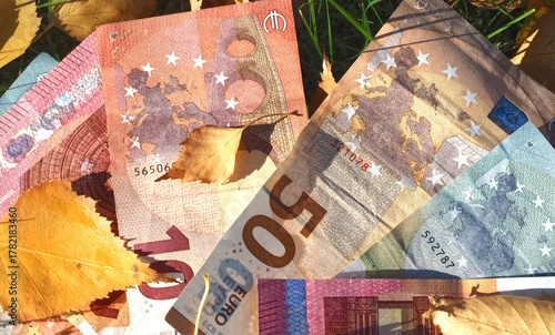 Financial situation of Europe in autumn - Euro banknotes with fallen autumn leaves
