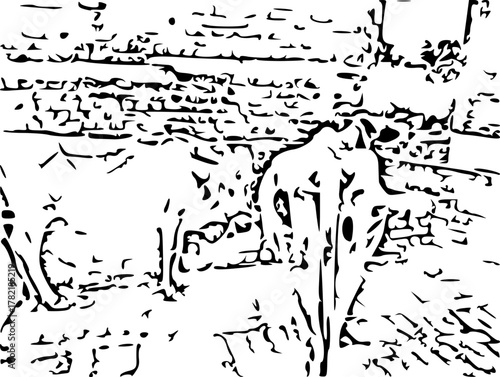 Vector illustration of cow background”:
