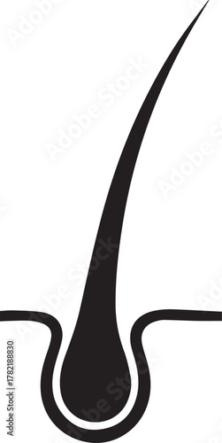 Close up microscopic view of a single black hair follicle emerging from the skin surface showing root and shaft in a clean graphic illustration