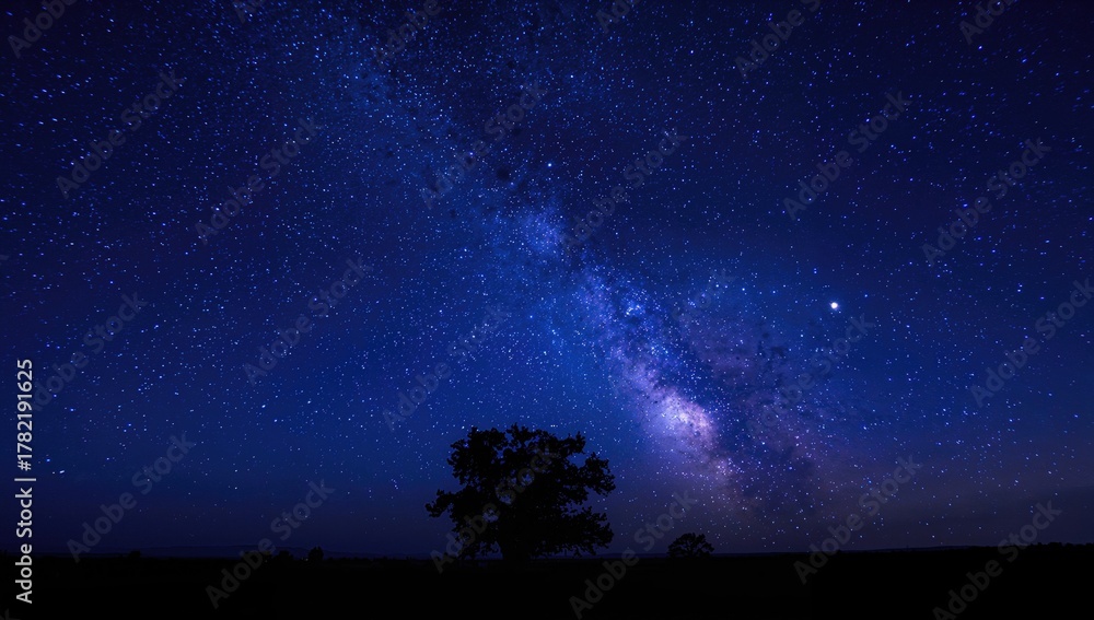 Fototapeta premium Nighttime Sky Featuring Stars and the Milky Way Against a Dark Blue Backdrop