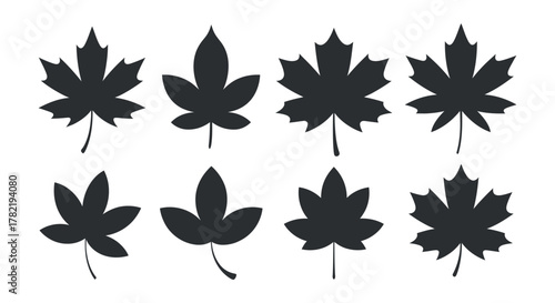 Collection of maple leaves symbols and leaf shapes in autumn isolated in black and white with background exactly 120 character
