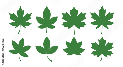 Collection of maple leaves symbols and leaf shapes in autumn isolated with green color and transparent background exactly 120 char