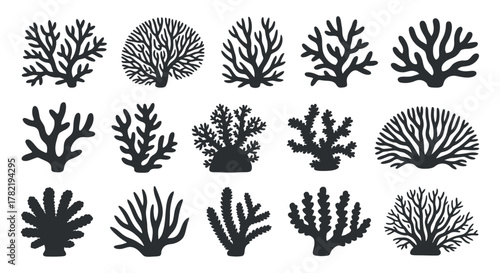 Collection of various black stylized sea corals vector silhouette illustration in different shape isolated on white background design
