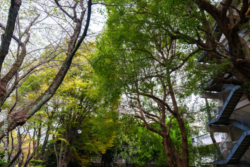 大学キャンパスの散歩の途中で見つけた秋の風景