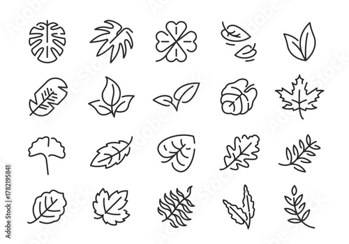 Leaf icons. Set of 20 leaf trendy minimal icons. Maple, Clover, Palm, Fern, Ginkgo icon. Design signs for web page mobile app packaging design. Vector illustration