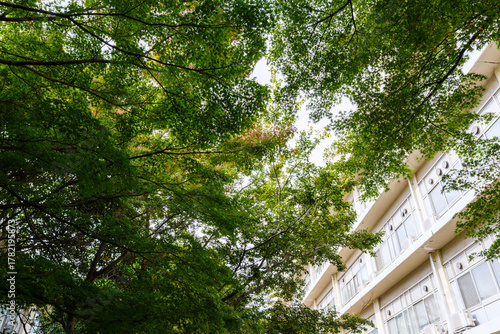 大学キャンパスの散歩の途中で見つけた秋の風景