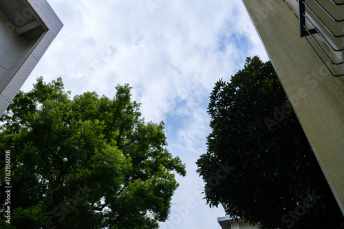 大学キャンパスの散歩の途中で見つけた秋の風景