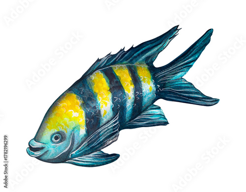 Multicolored angelfish. Watercolor drawing of a fish isolated on a white background.