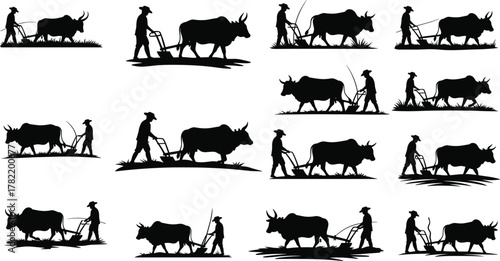 Traditional oxen farming silhouettes, rural agriculture poses, black icons, flat vector, CAD drawing, plowing field, editable illustration set