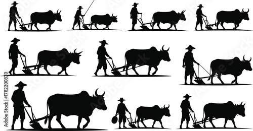 Traditional farming, oxen plowing, silhouette farmers, agricultural labor, rural scene, field work, flat vector illustration, manual cultivation, heritage, teamwork
