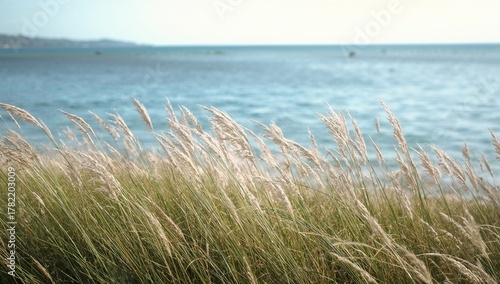 Fototapeta Naklejka Na Ścianę i Meble -  Seaside meadow with wild grass and water view, abstract nature scene with sky and summer vibes