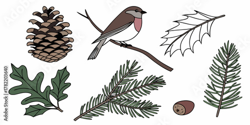 Illustration of a robin perched on a branch surrounded by various flora elements