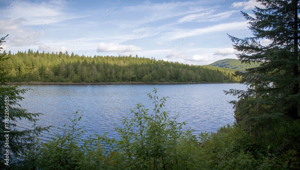 Fototapeta premium Scenic outlook over Sognsvann waterbody in the northern region