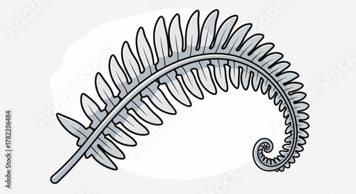 Elegant silver fern frond unfurling in a graceful spiral, a classic botanical illustration representing nature's beauty and the delicate patterns found in the plant kingdom, perfect for design
