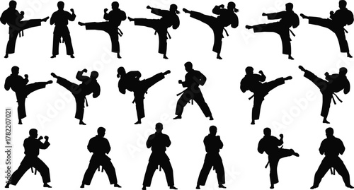 Silhouette martial artists, dynamic kick poses, black outline figures, traditional uniform stances, minimal vector design, combat gesture concept, self-defense movement illustration