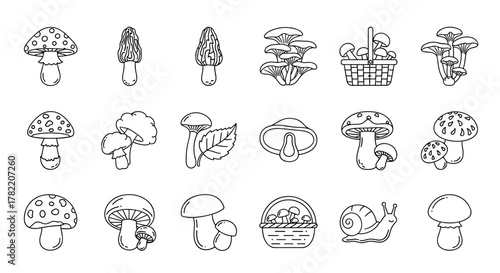 Collection of Mushroom Related Line Icons and Outline Signs for Graphic and Web Design, Apps, Advertisements, Various Cards, Vector Cartoon Illustration with a Snail and Basket