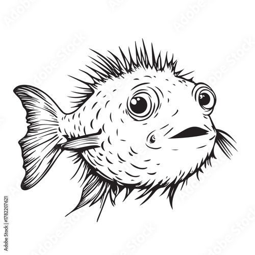 vector illustration of a puffer fish