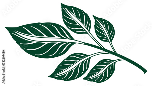 Branch of Leaves: An elegant depiction of a verdant branch adorned with intricately detailed leaves, a symbol of nature's beauty and growth, against a neutral backdrop.