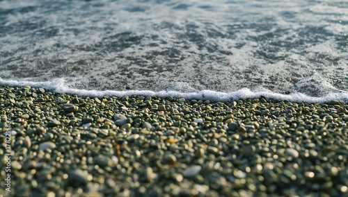 Fototapeta Naklejka Na Ścianę i Meble -  Green pebble beach texture, ideal for an editorial header background