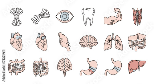 Collection of stylized, hand-drawn icons representing various human internal organs, body parts, and abstract elements, including a heart, lungs, brain, stomach, intestines, liver, eye, tooth, and