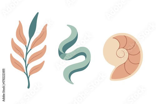 Stylized collection of natural elements: leafy branch, abstract wavy shape, and nautilus shell
