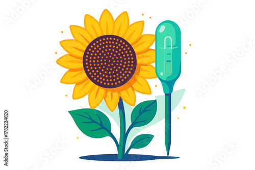 Sunflower plant and soil moisture meter used for checking hydration levels