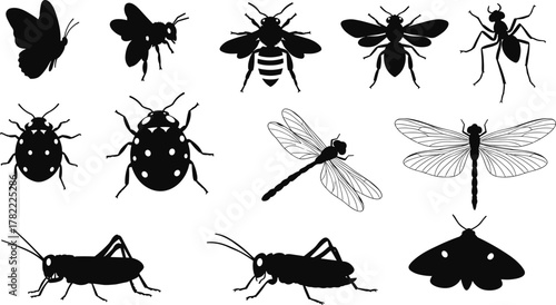 Insect silhouette collection, butterfly bee ant dragonfly grasshopper ladybug moth icons, black entomology design set, nature wildlife illustration, educational elements, flat vector