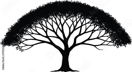 Stylized tree silhouette, symmetrical foliage icon, artistic botanical design, black nature illustration, decorative woodland element, creative landscape graphic, balanced canopy, flat vector