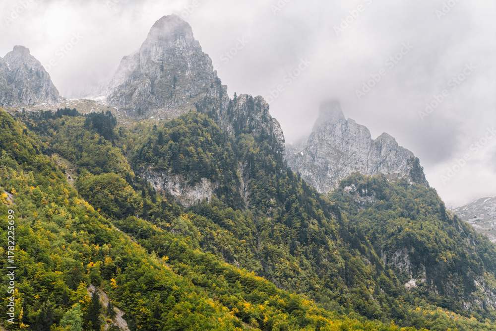 Fototapeta premium Beautiful alpine meadow in Montenegro with dramatic mountains