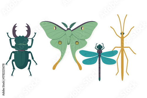 Colorful stylized collection of insects: stag beetle, Luna moth, dragonfly, stick insect on white