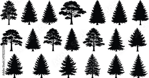 Tree silhouette collection, coniferous and deciduous icons, forest foliage shapes, black botanical design set, woodland nature illustration, landscape elements, flat vector