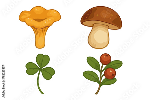 Wild forest plants and fungi including chanterelle, porcini, clover, and lingonberry
