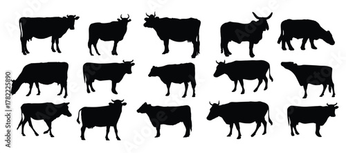 the set of cow silhouette collection