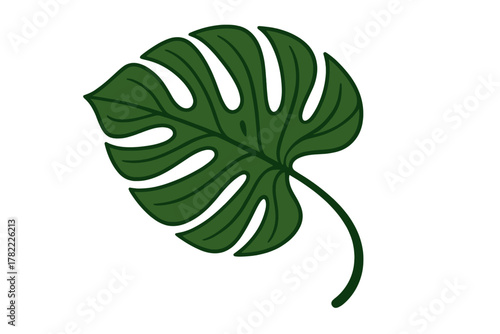 Stylized dark green tropical Monstera deliciosa leaf isolated on white background