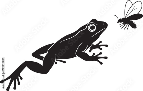 Frog silhouette hunting a fly insect in a dynamic pose for nature photography