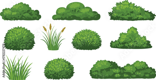 Green bush and grass collection illustration, natural foliage set for landscape design, garden plants and greenery elements for outdoor decoration