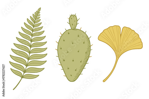 Stylized botanical elements set featuring fern frond, prickly cactus, and ginkgo leaf