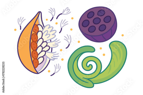 Colorful stylized botanical elements abstract composition with seed pod and lotus head