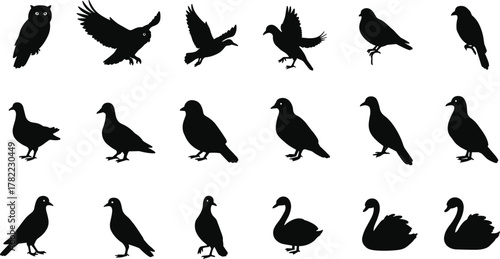 Bird silhouettes collection, owl pigeon swan illustration, flying and standing birds, wildlife species variety, ornithology design set, flat vector artwork