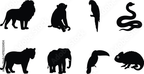 Animal silhouette collection, jungle and savannah wildlife icons, lion tiger elephant monkey parrot snake toucan chameleon, black design set, flat vector