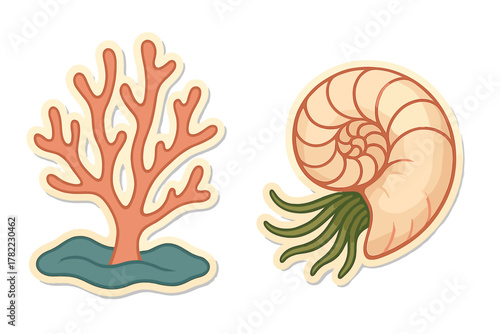 Vibrant decorative set featuring branching coral and a detailed spiral nautilus shell