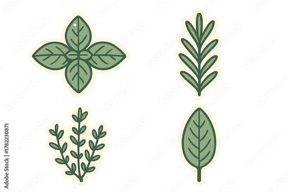 Obraz premium Stylized set of four green culinary herb stickers including basil, rosemary, and thyme